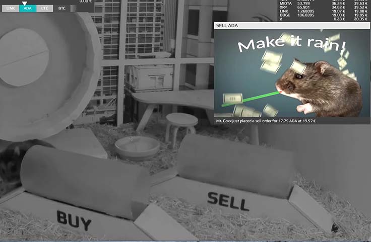 Hamster Investisseur
